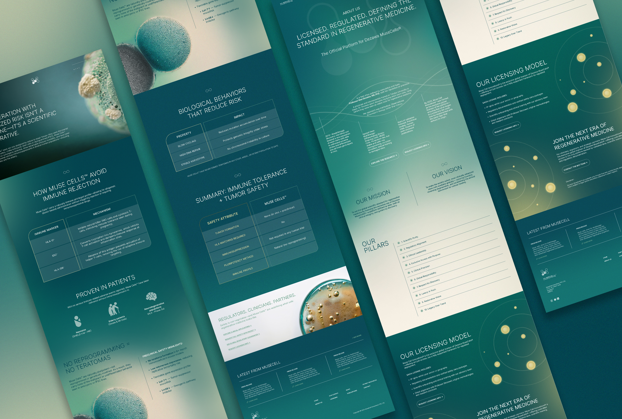 Musecell Innovations cells health muse cells research science social media stem cells web design website