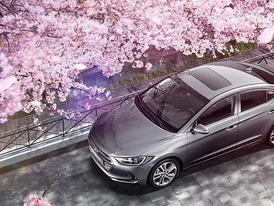 HYUNDAI advertising cg cg7days graphic hyundai visual arts 벚꽃 아반떼 월화수목금토일 현대자동차