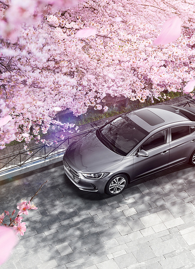 HYUNDAI advertising cg cg7days graphic hyundai visual arts 벚꽃 아반떼 월화수목금토일 현대자동차