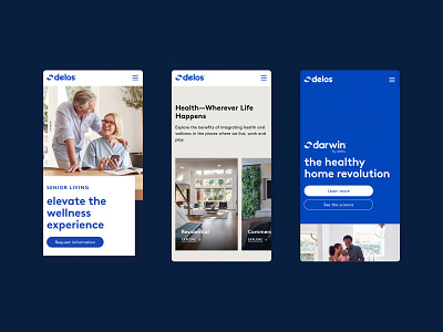 delos website interactive ui visual design web web design