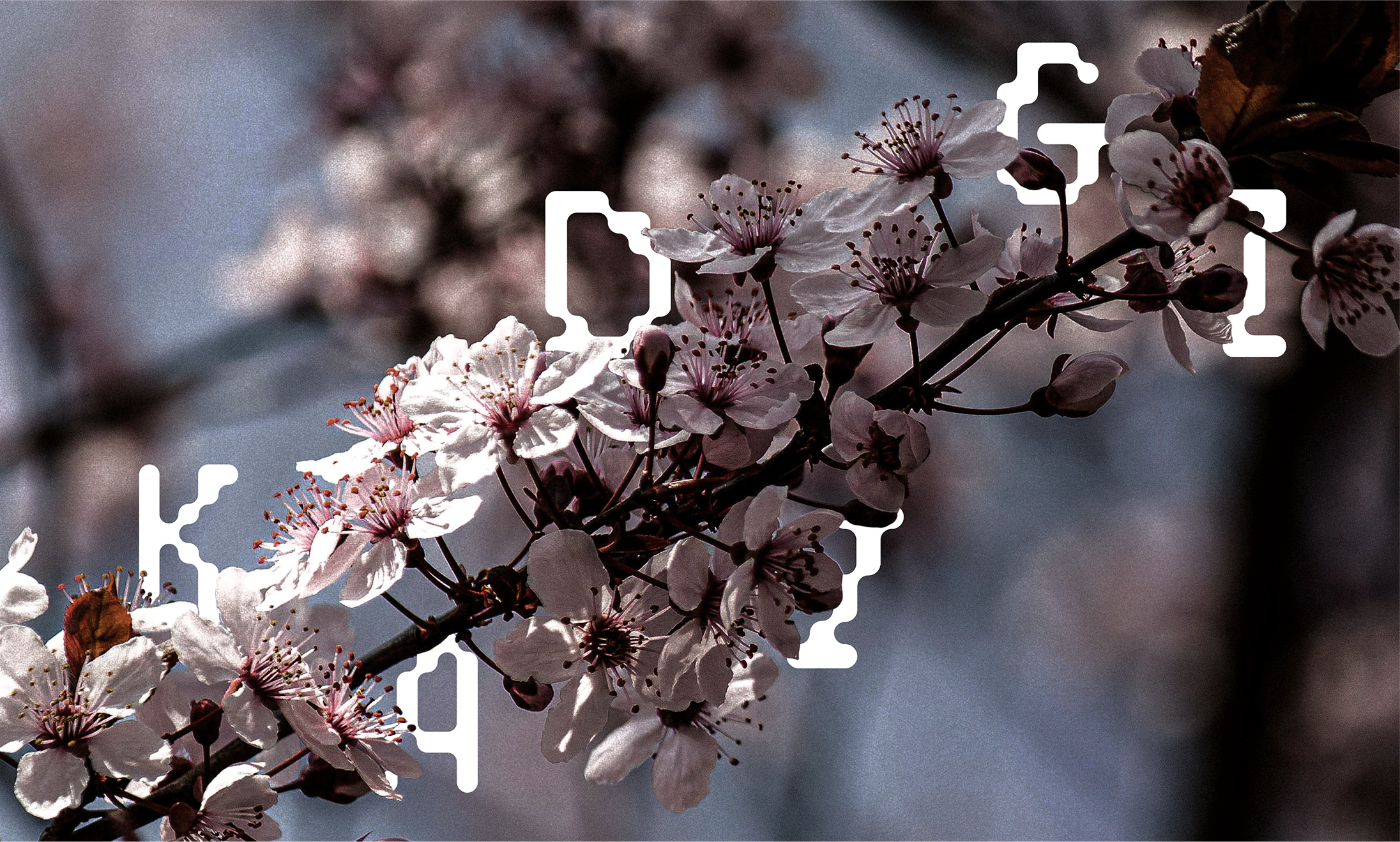Kadigi - Ikebana Studio branding design figma graphic design illustration logo ui ux
