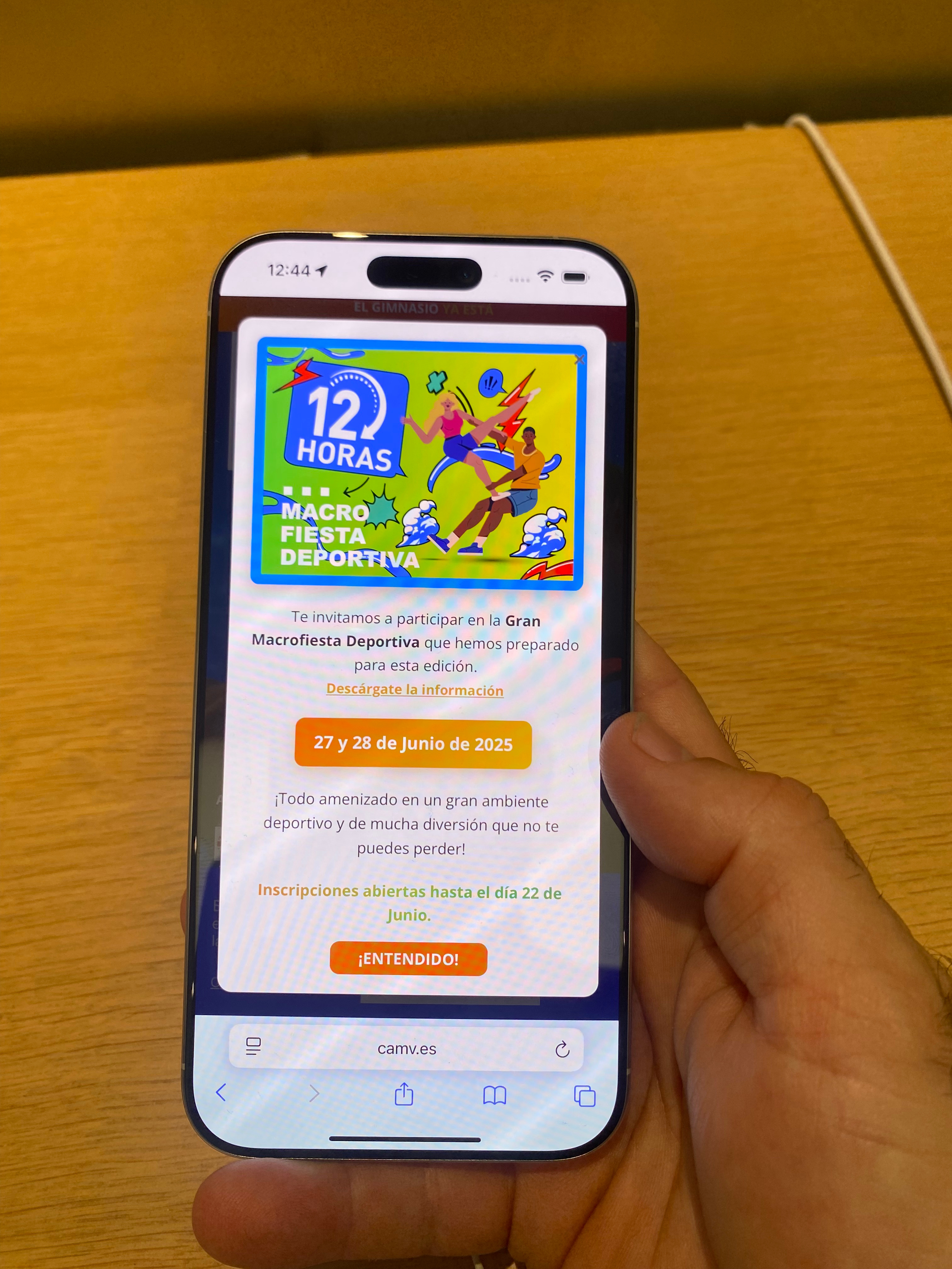 Macro fiesta branding graphic design