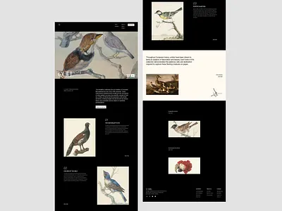 Exhibition Landing Page art bird design designer exhibition figma landing landing page minimal modern ui uiux uiuxdesign ux web web design website