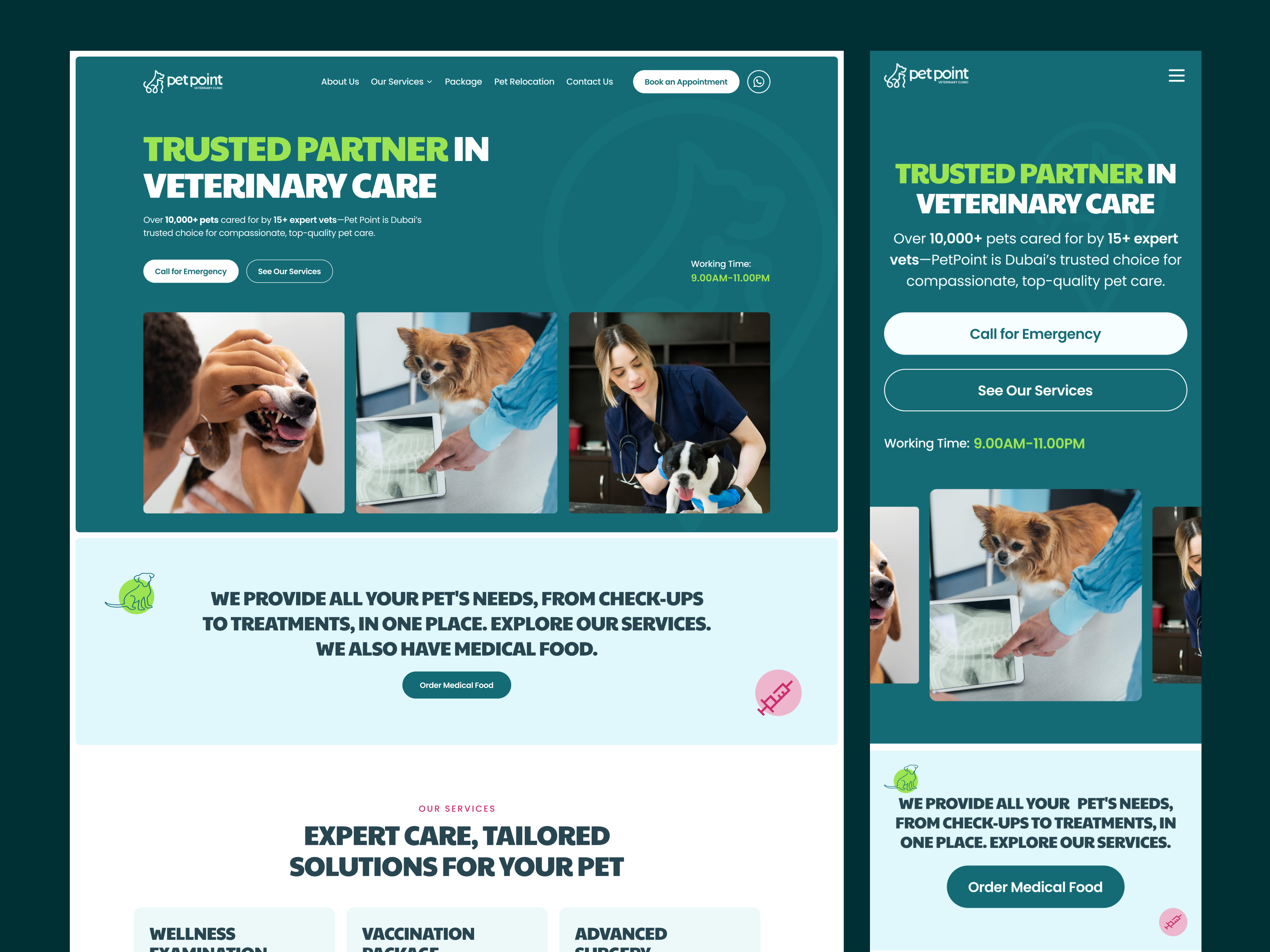 Example of Webflow Website Design And Development