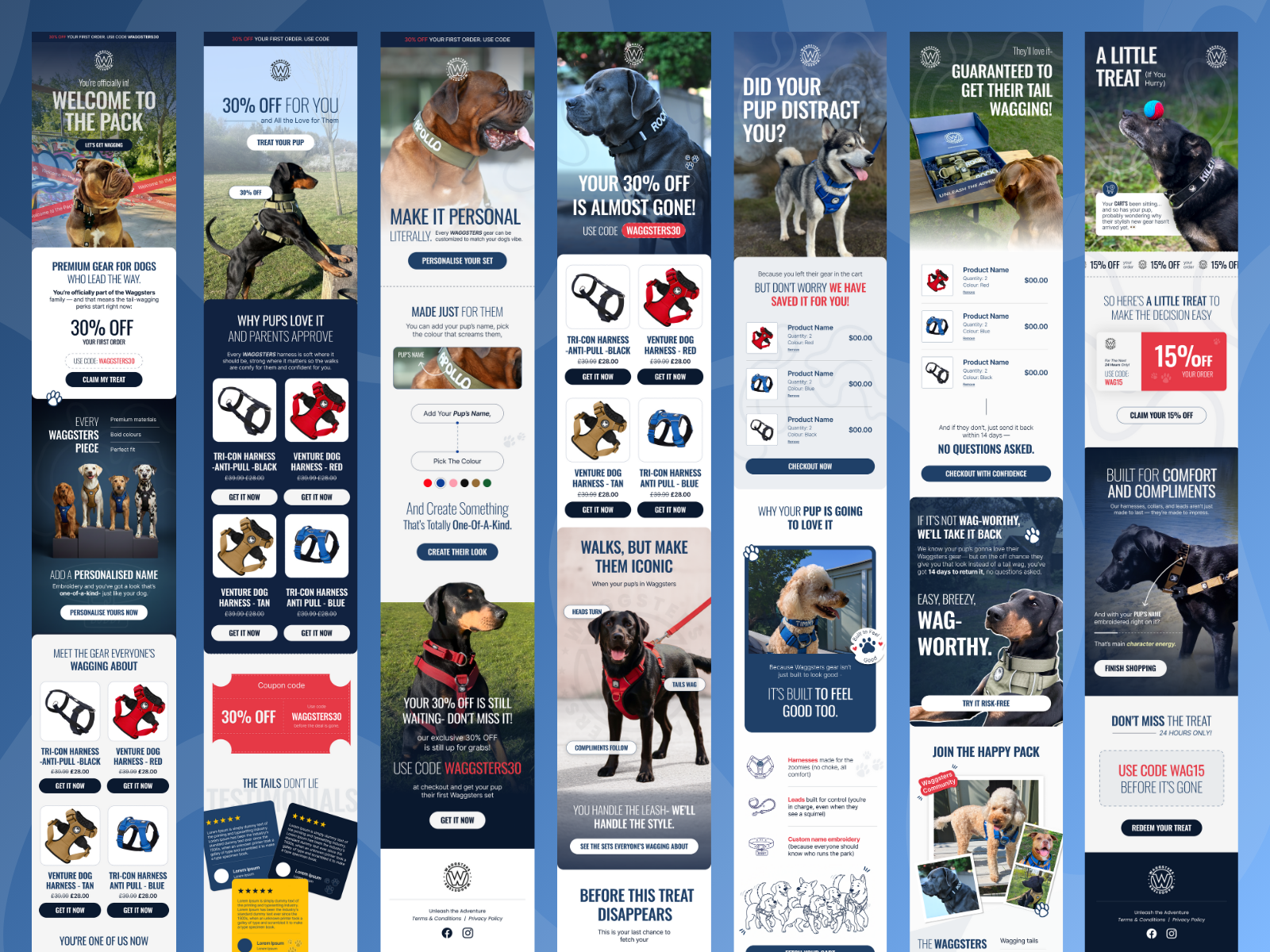 Example of High Converting Email Design