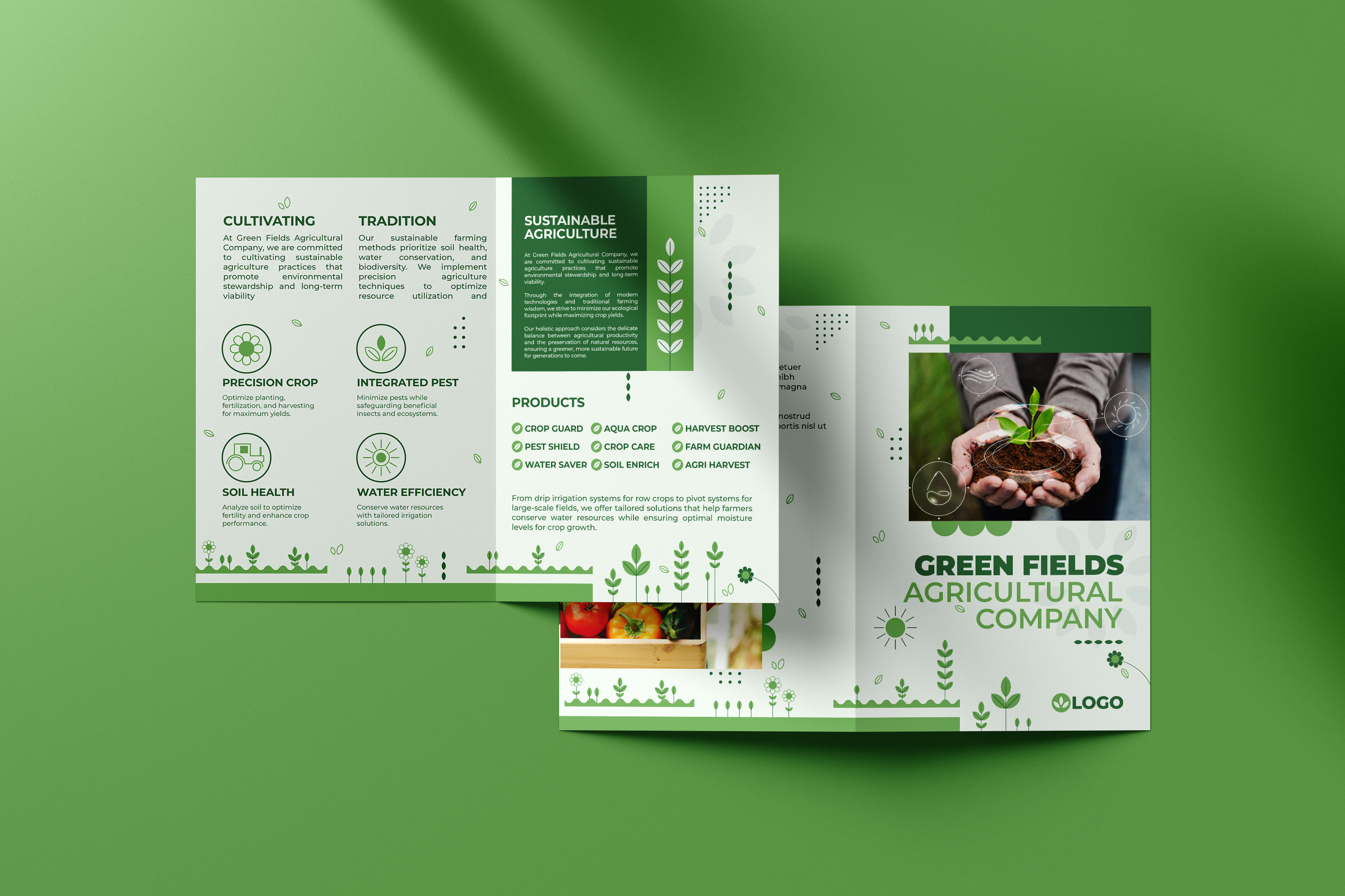 Example of Bifold & Trifold Brochure  (Single) 