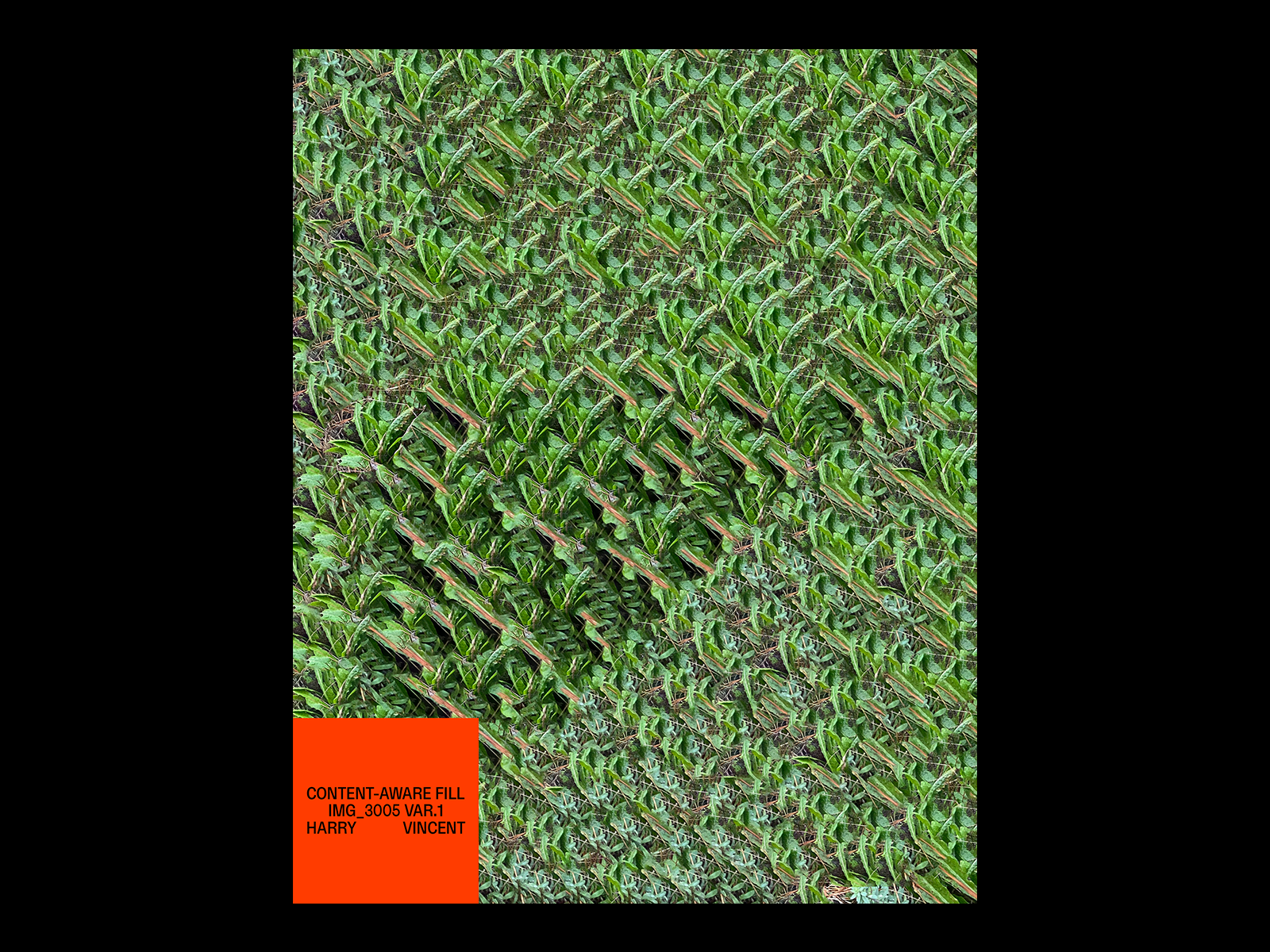 Example of CONTENT-AWARE FILL IMG_3005