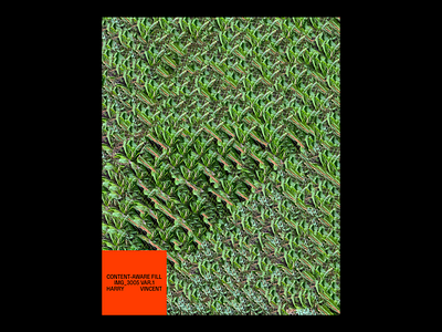 CONTENT-AWARE FILL IMG_3005 ai ai art content aware fill digital art generated image generative fill harry vincent photoshop ai