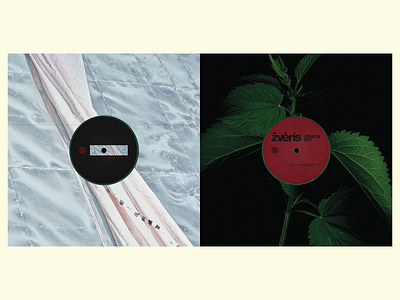 Vinyl gatefold artist band branding design gatefold graphic design identity minimal vinyl