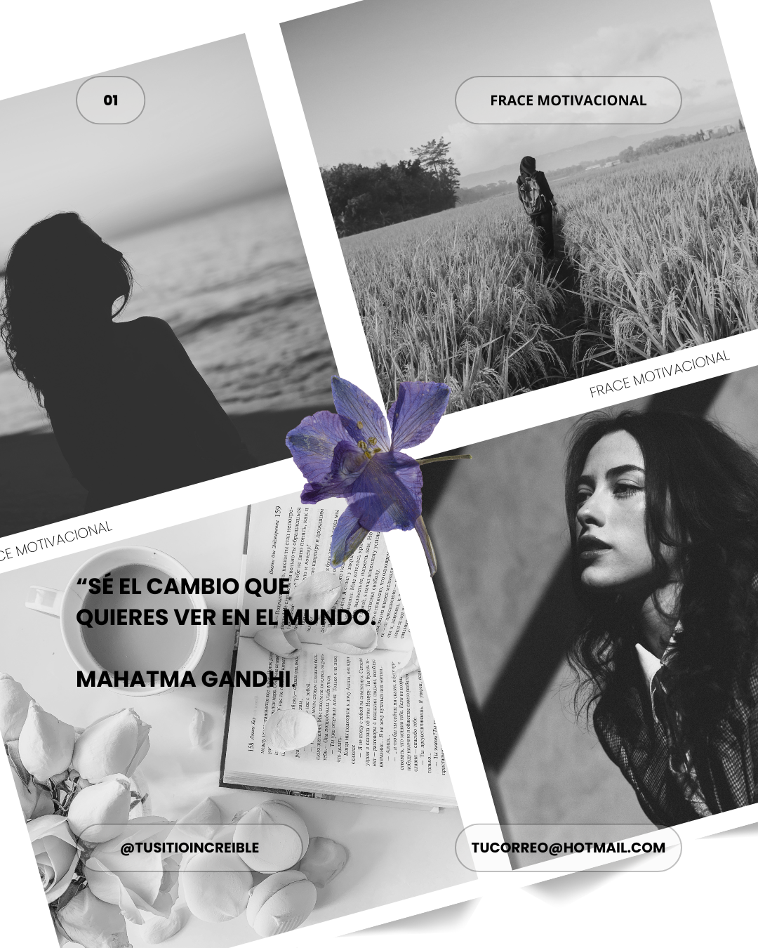 Example of Plantillas Minimalistas Profesionales