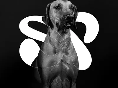 SP LOGO FOR PAW'S brandidentity design graphicdesigner letter logo logo logocreator logodesigner logoinspiration logomaker logotypedesign minimal logo monogram logo paws paws logo sp logo