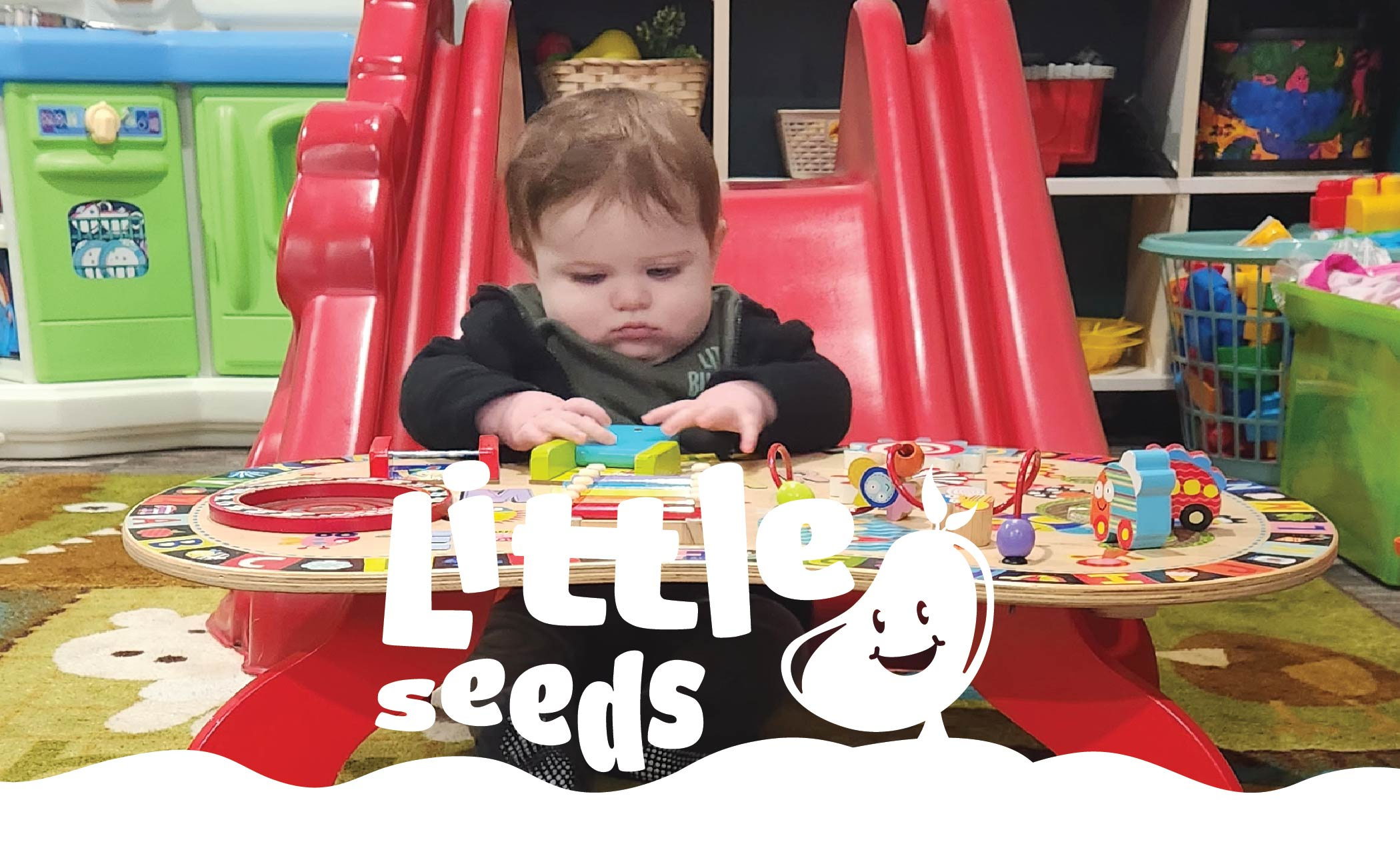 Little Seeds Brand Identity brand identity branding design graphic design illustration logo logodesigner vector