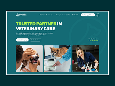 Veterinary Clinic Website Design for Modern Pet Care animal care ui booking system ui clean web design clinic website healthcare landing page healthcare ui medical website modern ui ux pet care design pet clinic responsive website service page ui ui ux design user friendly design veterinary website web experience website redesign