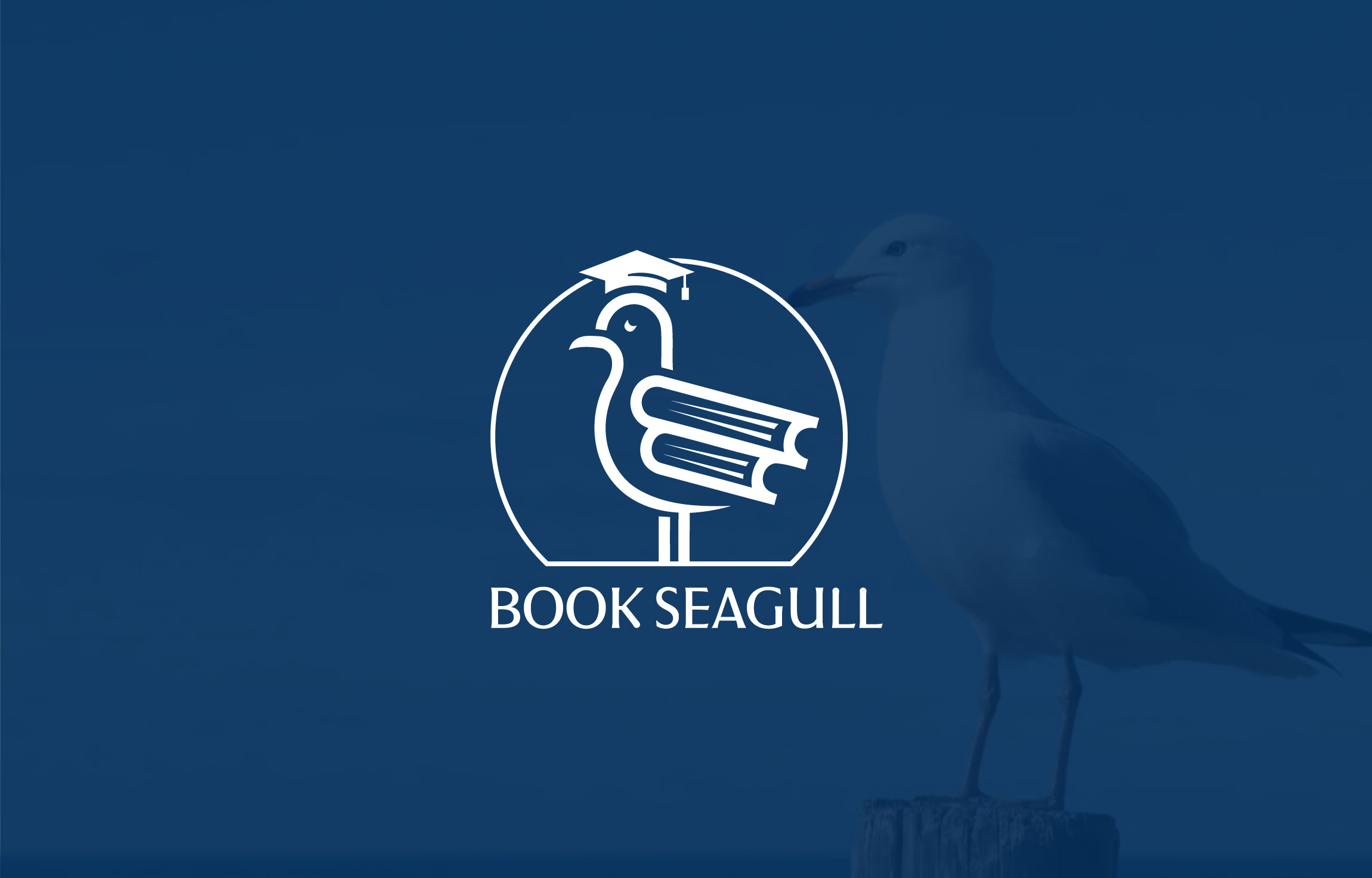 Example of Professional Logo Design (Single) 