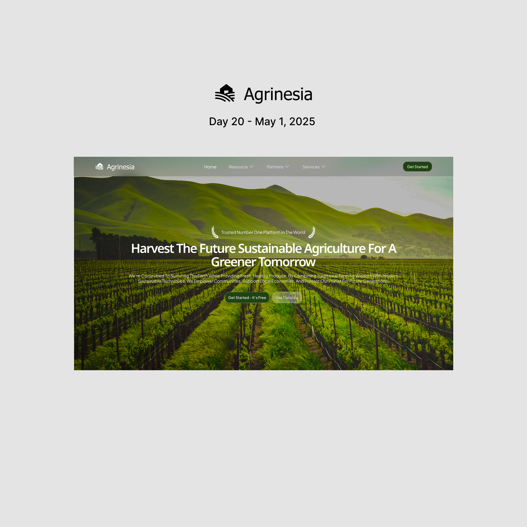 Agrinesia branding logo ui