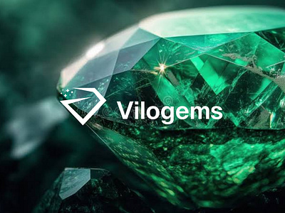 Logo Brand Identity visual identity