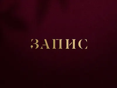 Zapis Wine Label icon label logo mark oak symbol wine zapis