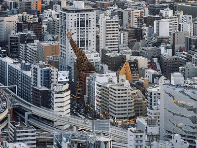 stranger album cover book cover collage cover design design digital art graphic design illustration 그래픽디자인 꼴라주 꼴라쥬 콜라주 콜라쥬