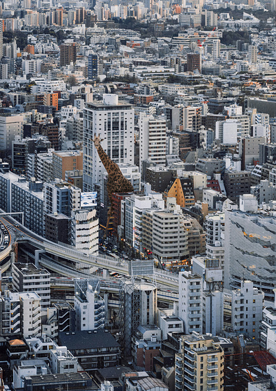 stranger album cover book cover collage cover design design digital art graphic design illustration 그래픽디자인 꼴라주 꼴라쥬 콜라주 콜라쥬