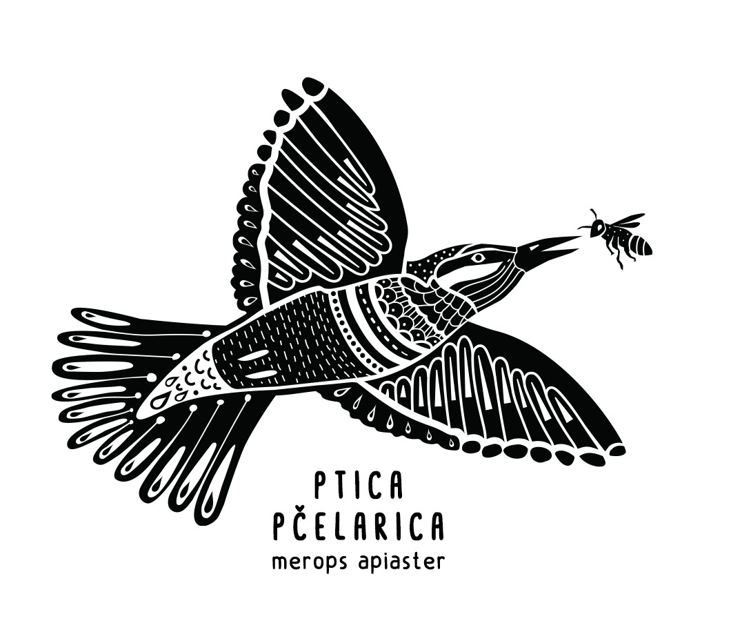 Ornamental illustration – European bee-eater bird blackandwhite decorativemotifs elegant handdrawn illustration lineart mandalaart nature ornamental