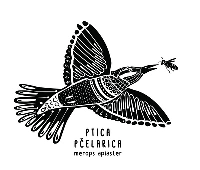 Ornamental illustration – European bee-eater bird blackandwhite decorativemotifs handdrawn illustration lineart mandalaart nature ornamental