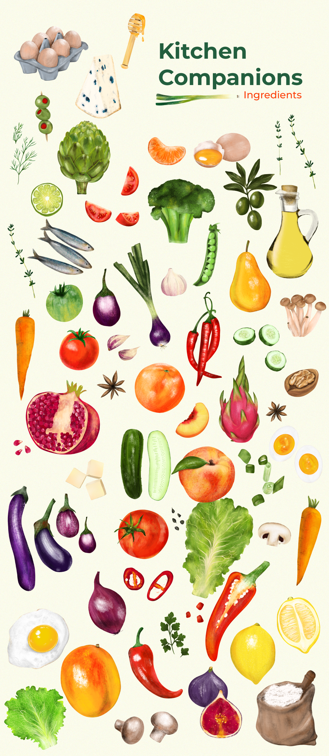 Kitchen Companions digital drawing digital painting graphic design illustration procreate