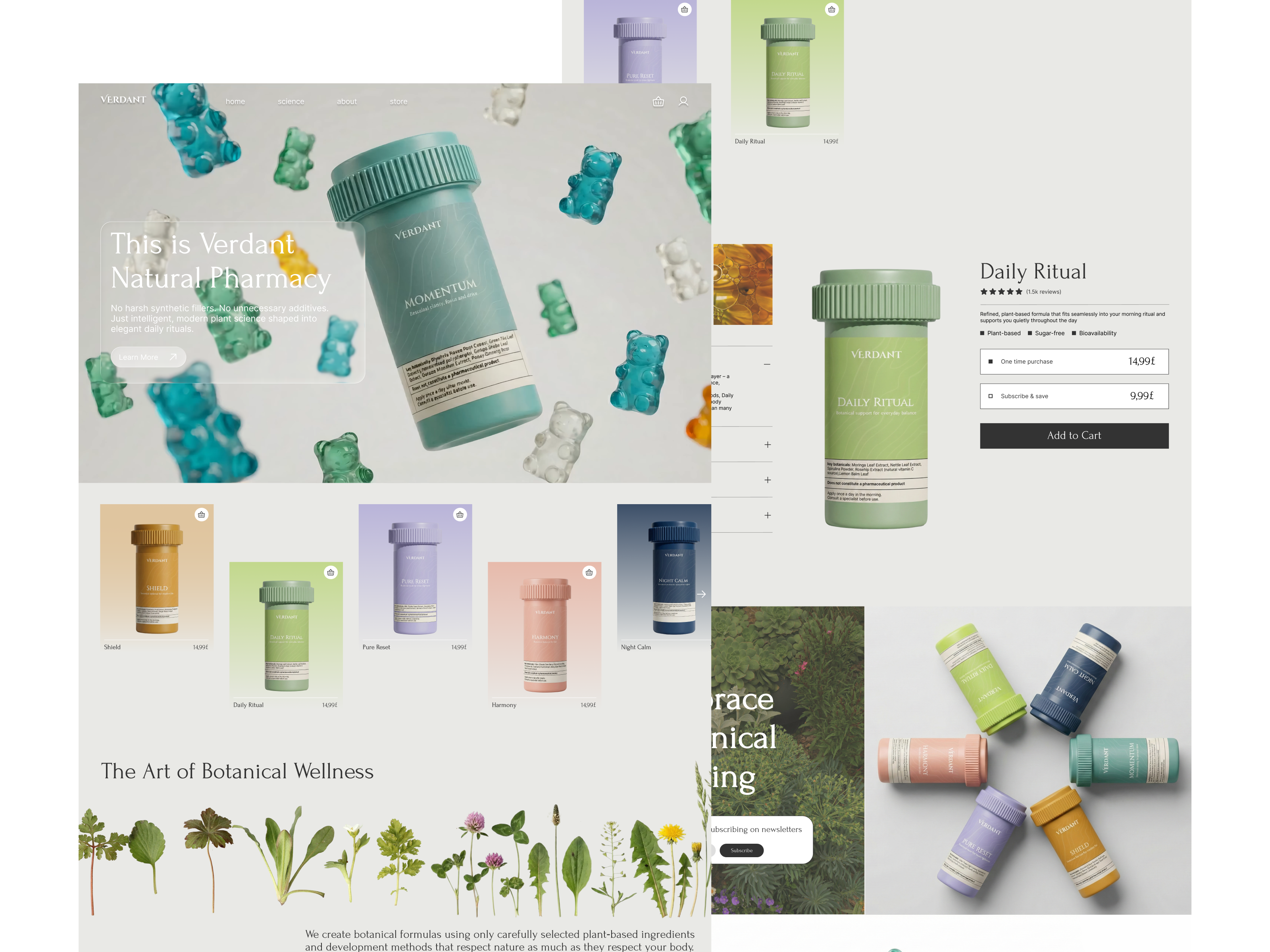 Example of Website Development