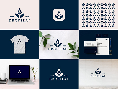 Drop + Leaf Logo Concept brand branding crypto design drop flower graphic design icon illustration leaf leaf logo logo logo design logodesign mark minimal modern logo nature vector wordmark