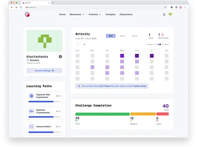 picoCTF Profile Redesign cybersecurity edtech education product design ui ux web