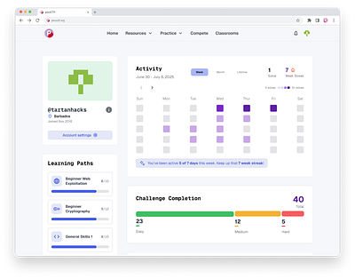 picoCTF Profile Redesign cybersecurity edtech education product design ui ux web