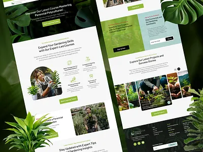 Modern Website Design adobe xd figma figma to webflow figma to wordpress graphic designer mobile app ui ux designer mobile ui ux designer ui ux ui ux experts ui ux web designer ui ux website design ui web design uiux designer user experience ux web design website animation