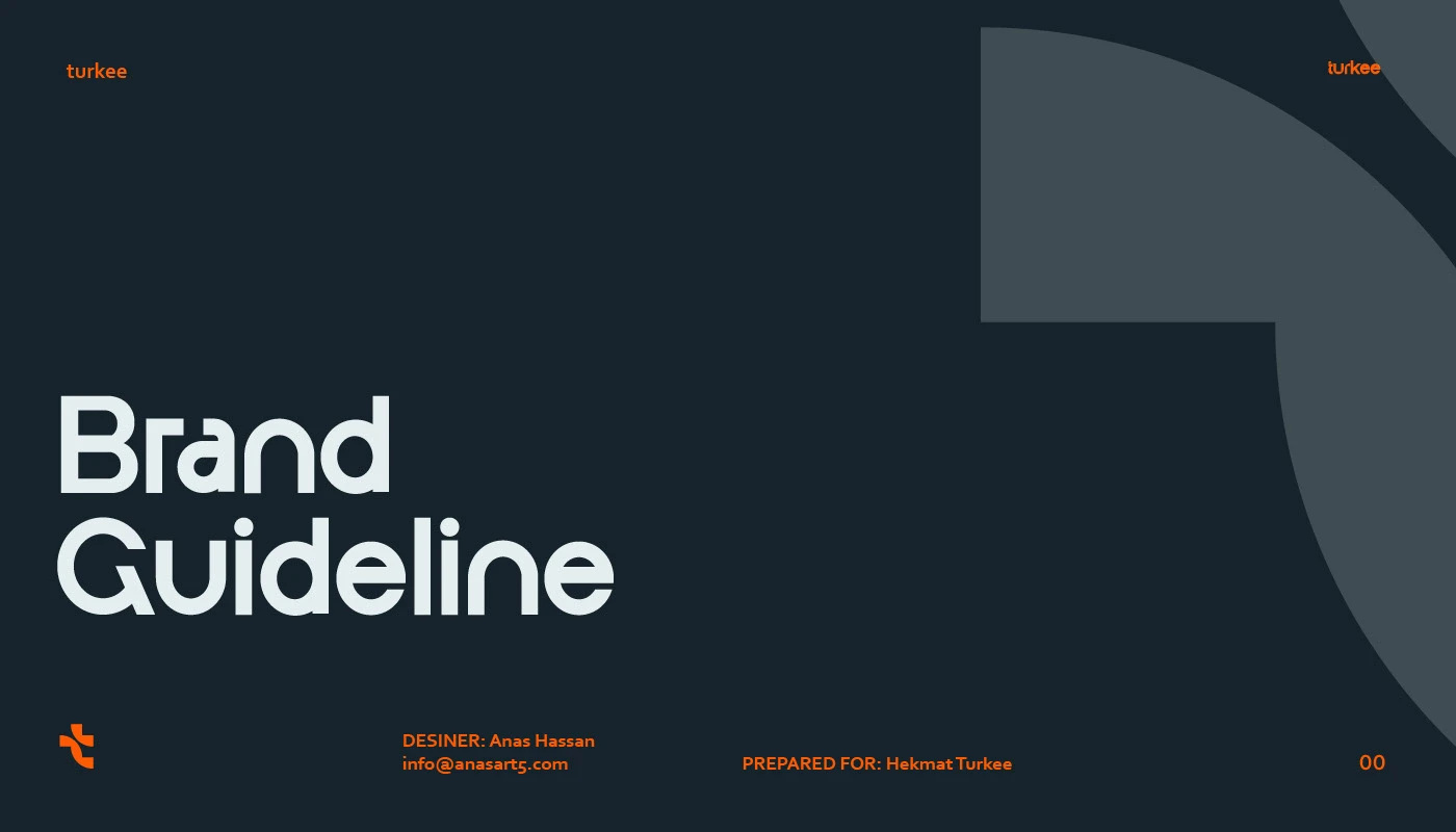 Visual Identity Style Guide brand book brand guidelines brand identity brand manual branding color palette corporate identity design graphic design illustration logo