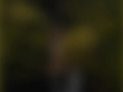 Petit Prince Hero animation hero interactive screen design travel traveling website