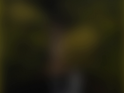 Petit Prince Hero animation hero interactive screen design travel traveling website