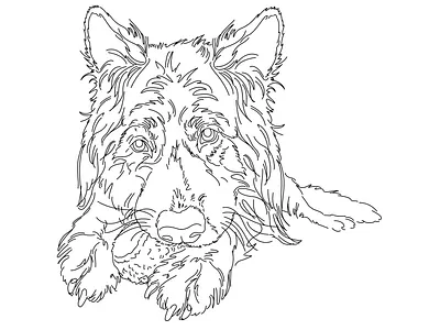 Line art design illustration illustration art line art logo one line art ui