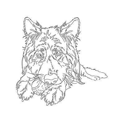 Line art design illustration illustration art line art logo one line art ui