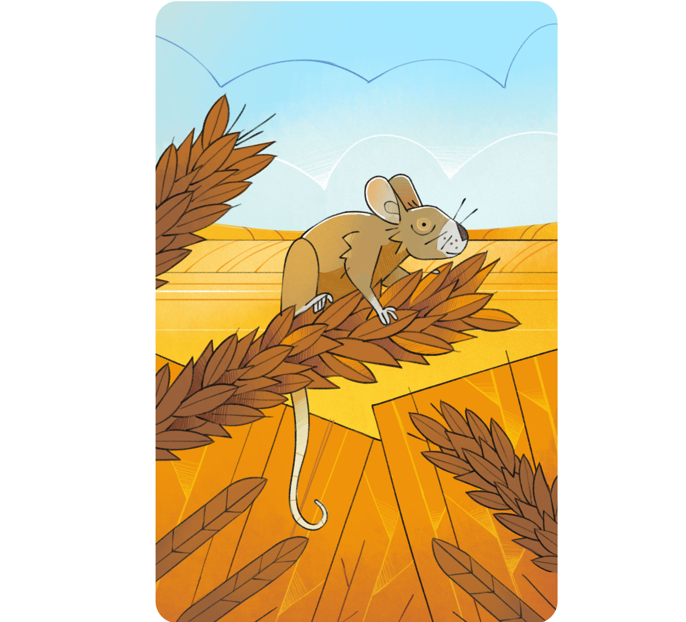 Mouse 2d illustration animal animal art animal illustration book illustration cards character character design field flat game cards illustration mouse nature notbear summer wildlife