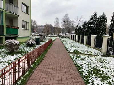 Odśnieżony chodnik / Snow-cleared sidewalk - Kielce, Poland abstract branding circle composition computer graphic design flat graphic design illustration ui