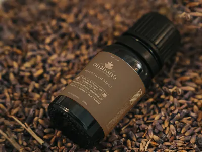 Omnana Yoga and Wellness studio - Logo Identity bran designer brand identity branding graphic designer identity logo logo designer logo ideas logo identity logo maker logos visual identity wellness wellness branding wellness logo yoga yoga branding yoga life yoga logo