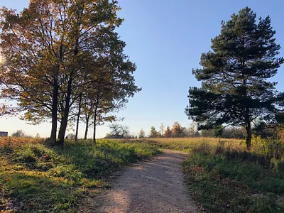 Rezerwat Przyrody Góra Miedzianka - Chęciny, Poland abstract branding circle composition computer graphic design flat graphic design illustration ui