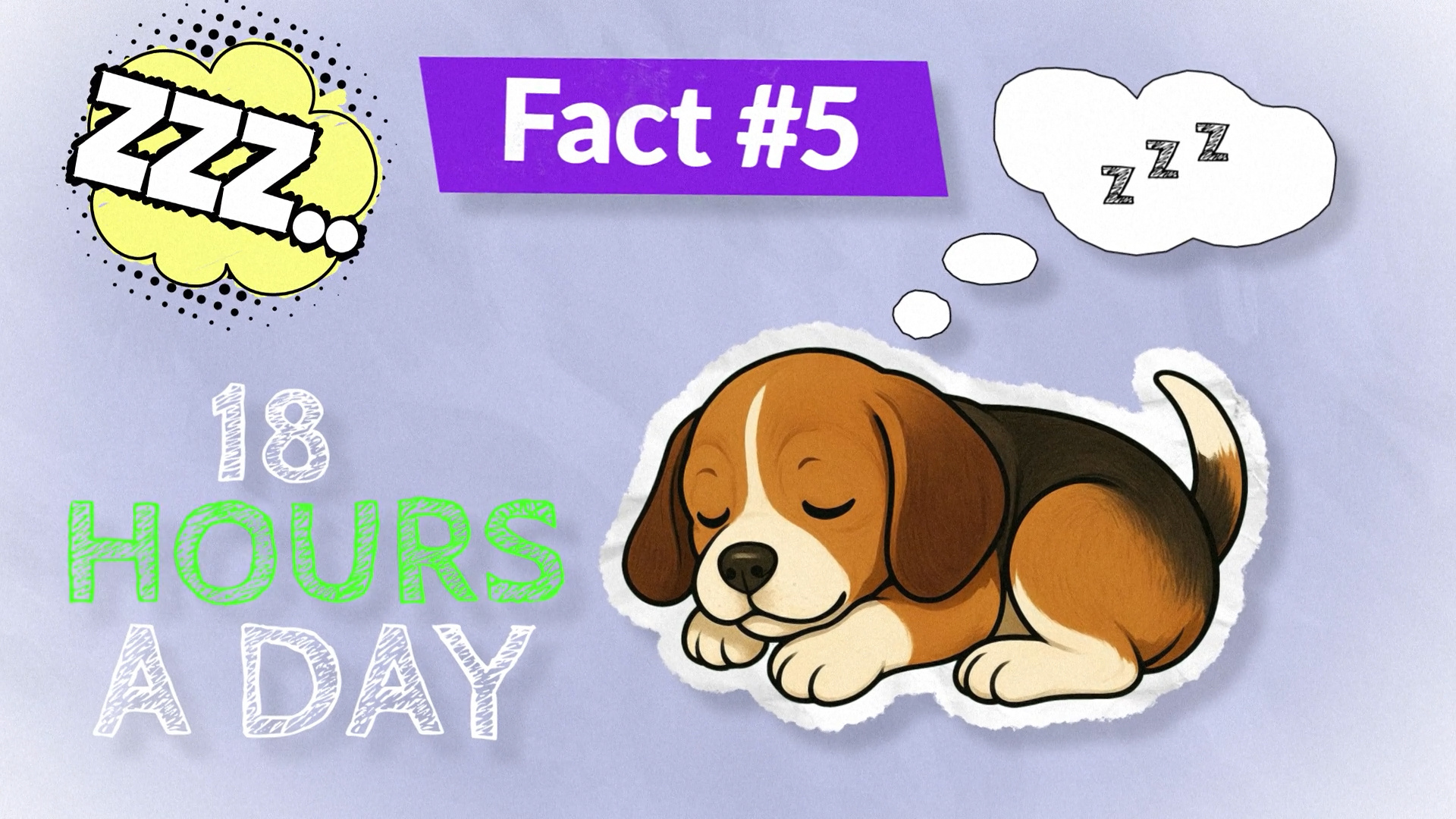 Animated Explainer: 5 Surprising Dog Facts (Paper Cut Style) after effects animated animation collage explainer motion design motion graphics papercut video video editing