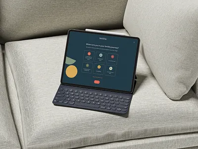 UX/UI design for Quiz to Bird&be quiz ui uidesign ux uxdesign uxui uxuidesign web webdesign