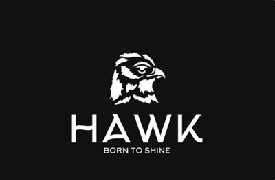 HAWK gaming graphic design logo youtube