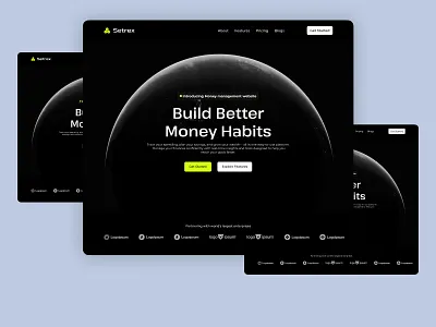 Setrex Money Management Website black dribble shots minimal money managements simple ui ui design website