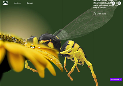 Modern Web Experience 3D Honeybee — UI/UX 3dweb moderndesign uiux webexperience