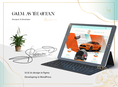 ui/ux design graphic design ui design web design web designer