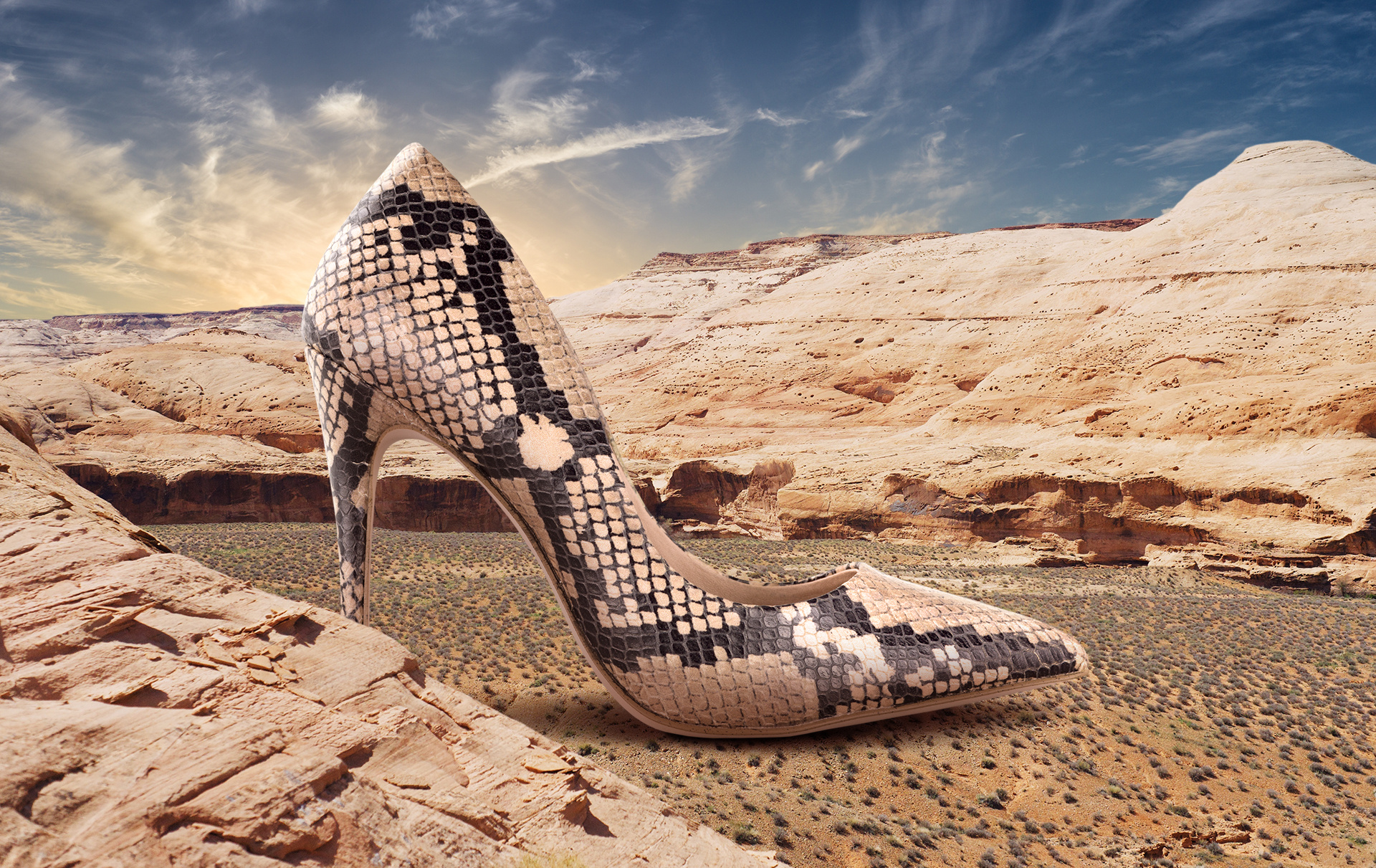 Steve Madden — Photo, Retouch & Creative Visual Concept advertising art direction commercial photography creative concept e commerce fashion photography fashion retouch high heels photo editing product photography retouching smm snake print studio photography visual concept