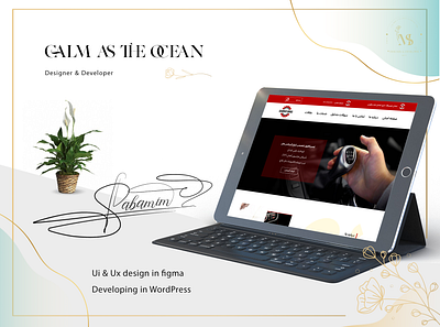 ui/ux design in figma ui design web design web designer