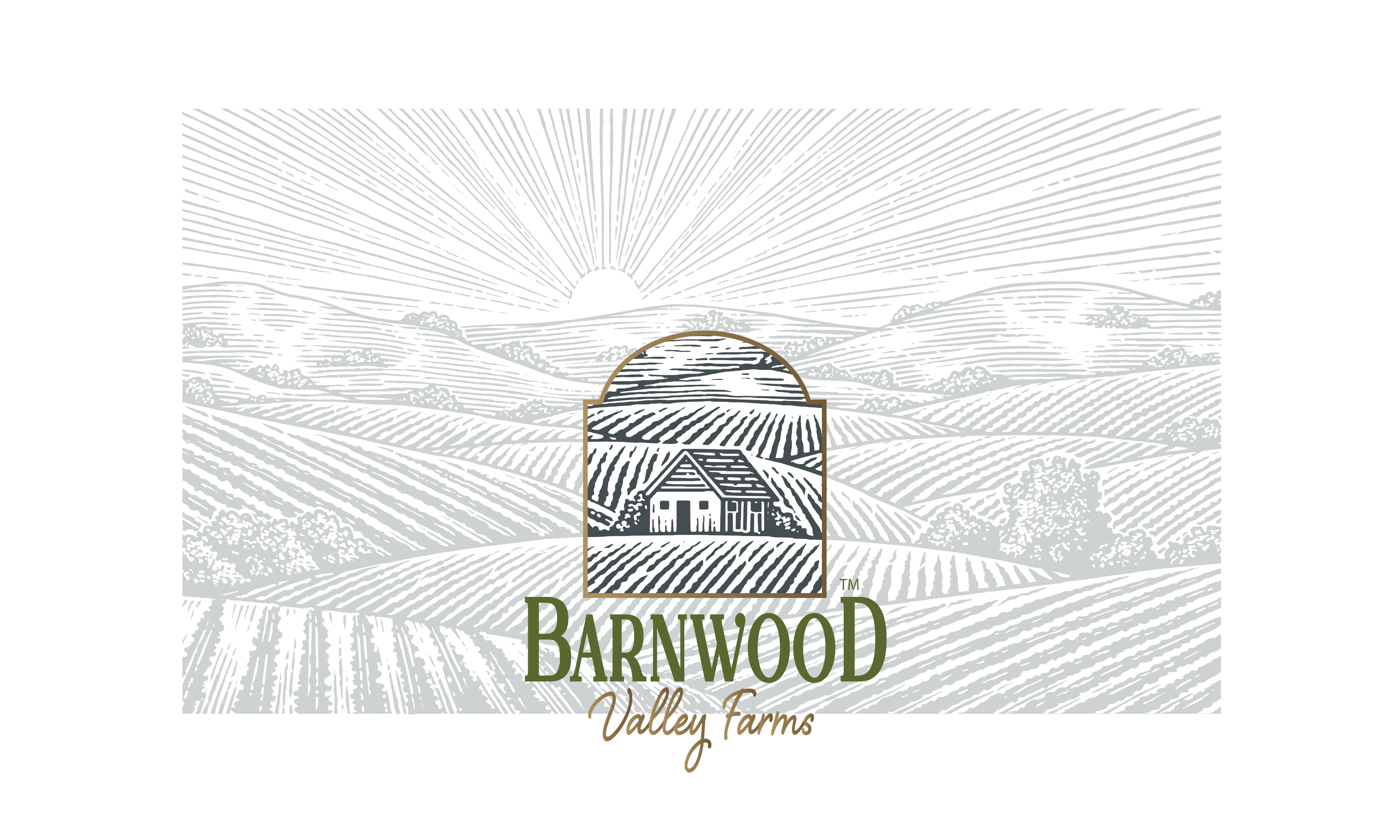 Barnwood Valley Farms Brand Identoty by Steven Noble artwork brand identity branding design engraving etching icon illustration line art linocut logo logos scratchboard steven noble visual identity woodcut