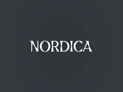 Nordica Studios branding custom design digital logo ui ux website